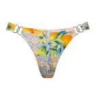 Dolce Whimsy Brazilian Bikini Hose