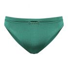 Treasure Green Bikini Hose