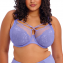 Elomi Dessous Brianna Plunge BH Jacaranda