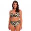 Fantasie Bademode Cabo Verde Hohe Bikini Hose Cactus