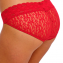 Wacoal Halo Lace Slip Equestrian Red