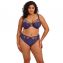 Elomi Dessous Himari Plunge BH Midnight