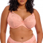 Elomi Dessous Kendra Plunge BH Rose Bud