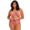 Elomi Dessous Matilda Taillenslip Rose Leo