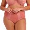 Elomi Dessous Matilda Taillenslip Rose Leo