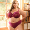 Sculptresse Natalia Slip Bordeaux Red