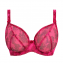 Freya Dessous Rose Blossom Plunge BH Red Rose