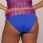 PrimaDonna Swim Skudai Hohe Bikini Hose Wild Stripes