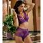 Lise Charmel Sublime En Dentelle Plunge BH Sublime Iris