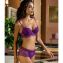 Lise Charmel Sublime En Dentelle Short Sublime Iris